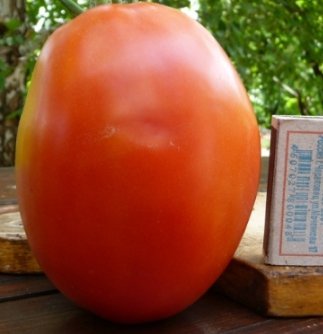 Купить семена томатов Де Барао Гигант красный