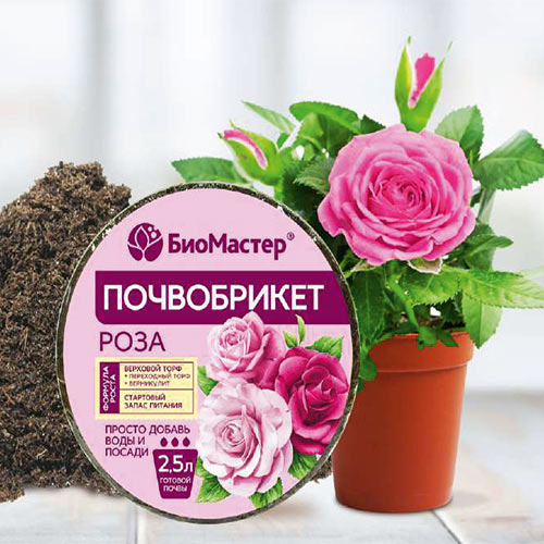 Почвобрикет Роза (круглый) БиоМастер, 2,5л