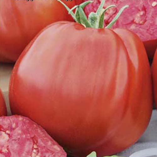 Купить семена томатов Купец F1 АГРОСЕМТОМС