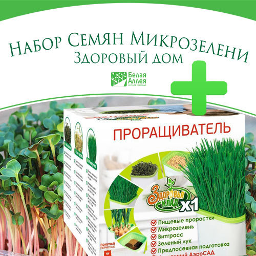 Набор семян микрозелени+аэросад