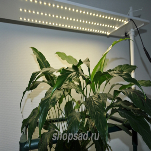 Светильник для растений «3 Урожая ОЖЗ» (светодиодный)