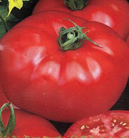 Купить семена томатов Ленинградский крупноплодный, ранний